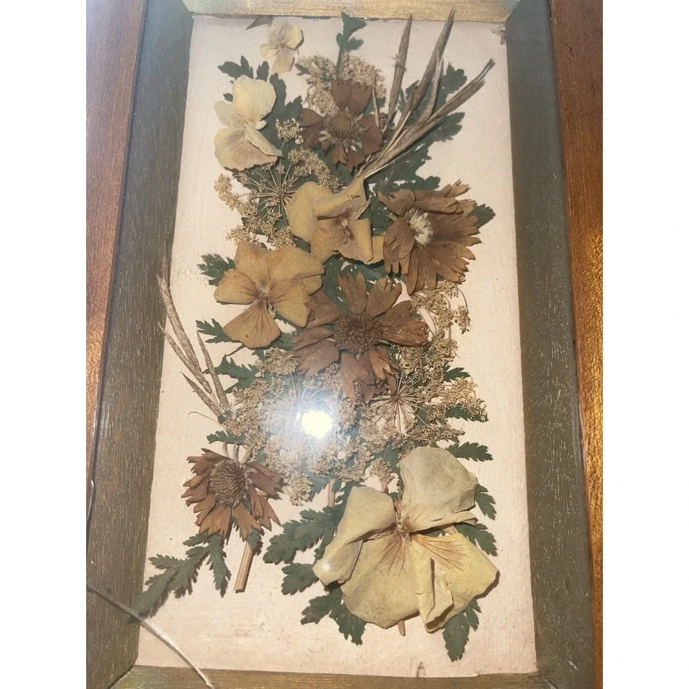 Vintage Dried Flowers Petals In Shadow Box Wood‎ Framed Wall Art Set of 2